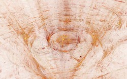 2014 05 29 Ends of Invention 28-white.jpg